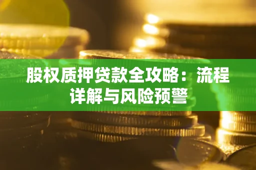 北京股权质押贷款全攻略：流程详解与风险预警