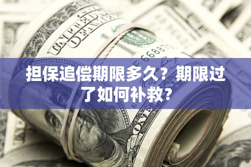北京担保追偿期限多久？期限过了如何补救？