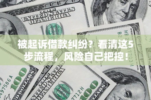 北京被起诉借款纠纷？看清这5步流程，风险自己把控！